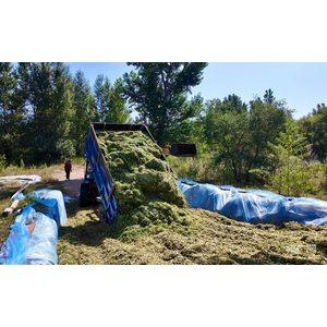 内蒙古库伦旗:饲草抢收 全力储备牲畜越冬口粮