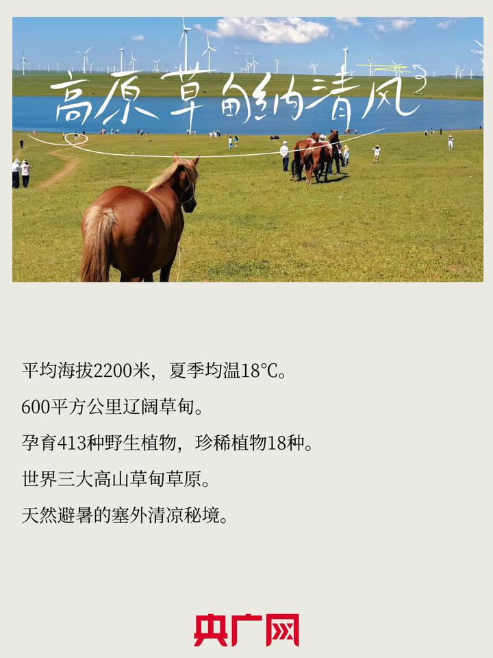数说绿色 智引发展丨草原夏日来信,避暑纳凉享清欢