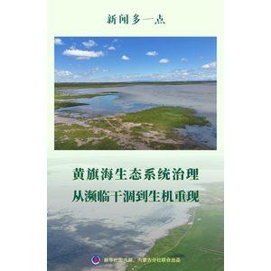 新闻多一点丨黄旗海生态系统治理 从濒临干涸到生机重现