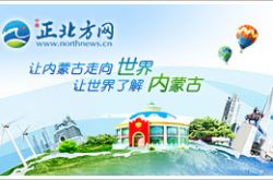 宁城县“三步联动” 建设美丽社区